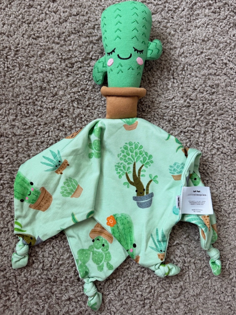 LAST CHANCE* Little Sleepies Succulent Cactus Lovey